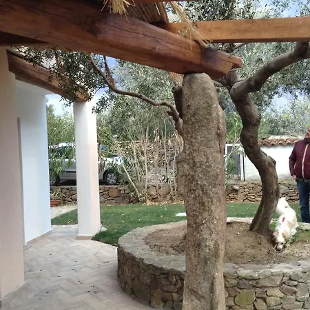 La Casa Di Robby * Budoni