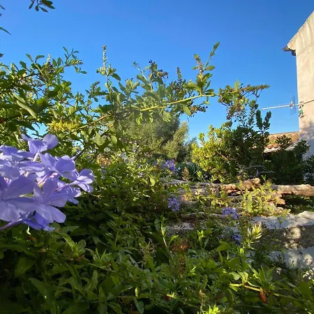 Tatil Evi La Casa Di Robby Budoni